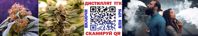 Дистиллят ТГК гашишное масло  маркетплейс наркотические препараты  Сосновоборск 